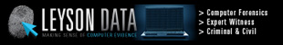 Your Expert Witness Leyson Data