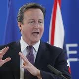 expertwitnessdavidcameron