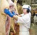 Picture pf a meat inspector for Your Expert Witness story