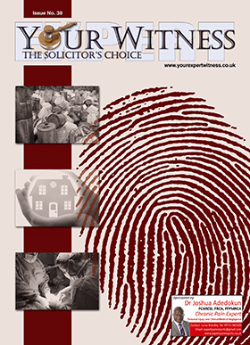 Your Expert Witness Issue No. 38