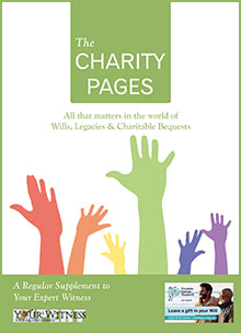 The Charity Pages Issue 12
