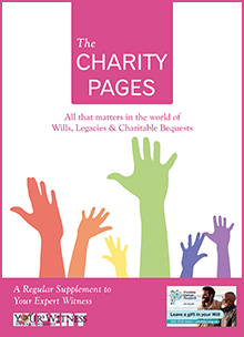 The Charity Pages Issue 13