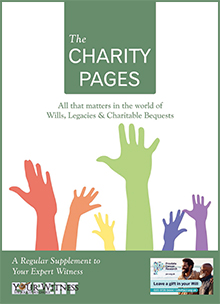 The Charity Pages Issue 17