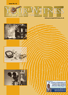 Your Expert Witness Issue No. 65