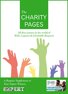 The Charity Pages Issue 22