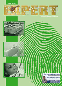 Your Expert Witness Issue 66
