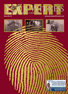 Your Expert Witness Issue No. 67