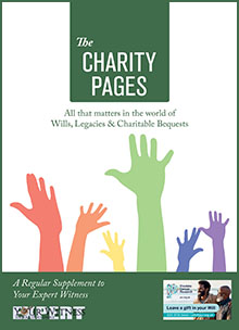 The Charity Pages Issue 27