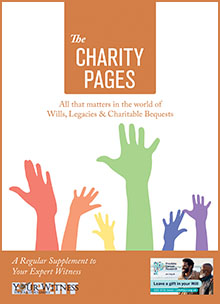 The Charity Pages Issue 28