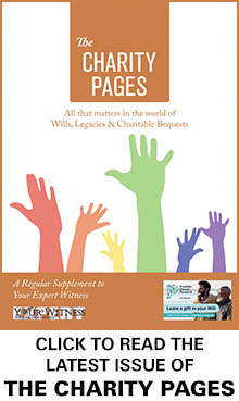 The Charity Pages Issue 28