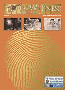 Your Expert Witness Issue 72