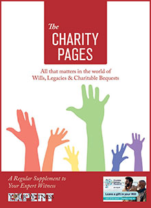 The Charity Pages Issue 29