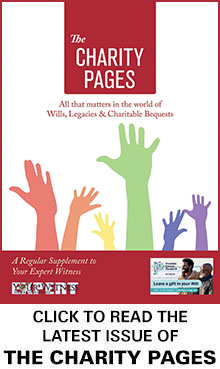 The Charity Pages Issue 29