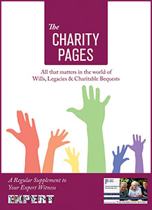 The Charity Pages Issue 30