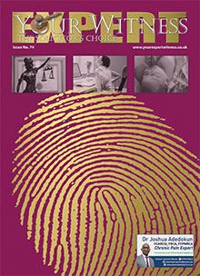 Your Expert Witness Issue 74
