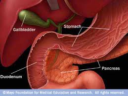 Your Expert Witness Pancreatic