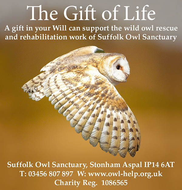 Suffolk Owl banner