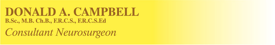 Your Expert Witness Donald A Campbell